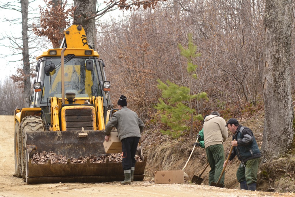 curatenie d eprimavara site