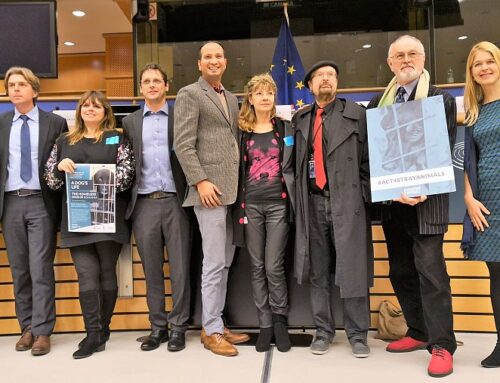 European Parliament: Cristina Lapis presented the solutions for the stray dogs (video)