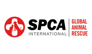 SPCA Internationl - Sponsor AMP