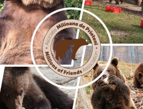 28 de ani de salvare și un nou început – 18 octombrie 2025