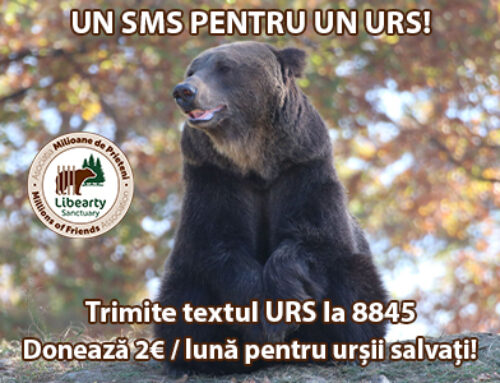 ACUM poți ajuta și prin SMS!