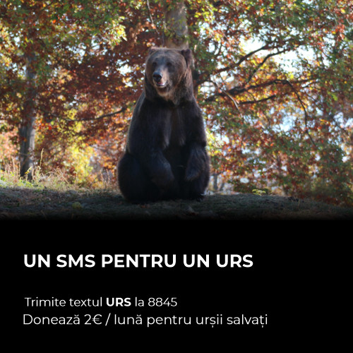 Donează 2 euro prin SMS