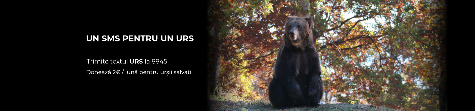 Donează 2 euro prin SMS Donează 2 euro prin SMS